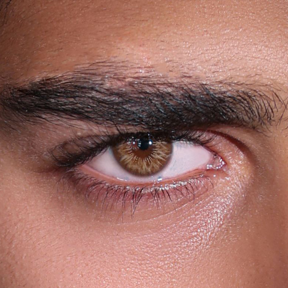 Marron Naturel